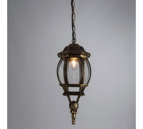 Уличный подвесной светильник Arte Lamp Atlanta A1045SO-1BN Уличный подвесной светильник Arte Lamp Atlanta A1045SO-1BN
