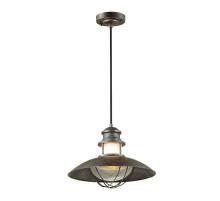 Уличный подвесной светильник Odeon Light Dante 4164/1