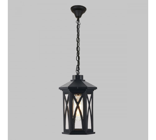 Уличный подвесной светильник IMEX Boston IL.0016.0002-P-BK