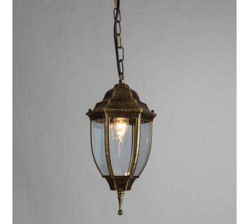 Уличный подвесной светильник Arte Lamp Pegasus A3151SO-1BN Уличный подвесной светильник Arte Lamp Pegasus A3151SO-1BN