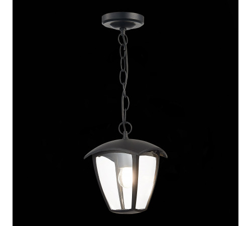 Уличный подвесной светильник ST Luce Sivino SL081.403.01 Уличный подвесной светильник ST Luce Sivino SL081.403.01