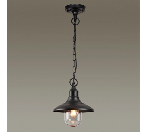 Уличный подвесной светильник Odeon Light Campa 4965/1 Уличный подвесной светильник Odeon Light Campa 4965/1