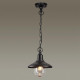 Уличный подвесной светильник Odeon Light Campa 4965/1