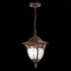 Уличный подвесной светильник ST Luce Chiani SL083.703.01