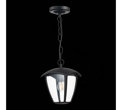 Уличный подвесной светильник ST Luce Sivino SL081.403.01 Уличный подвесной светильник ST Luce Sivino SL081.403.01