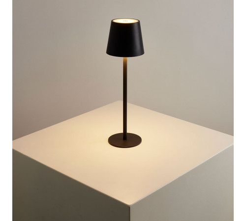 Уличный настольный светильник Arte Lamp Fuyue A1614LT-1BK