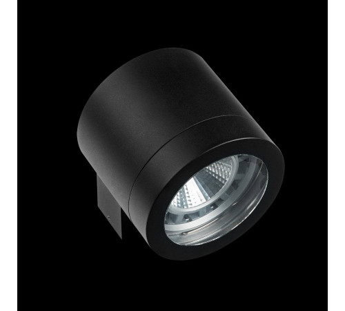 Уличный настенный светильник Lightstar Paro 350617 Уличный настенный светильник Lightstar Paro 350617