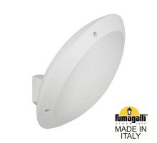 Уличный настенный светильник Fumagalli 1R3.602.000.WYE27