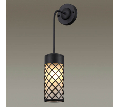Настенный светильник Odeon Light 4834/1W Настенный светильник Odeon Light 4834/1W