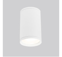 Уличный потолочный светильник Elektrostandard Light 4690389175893