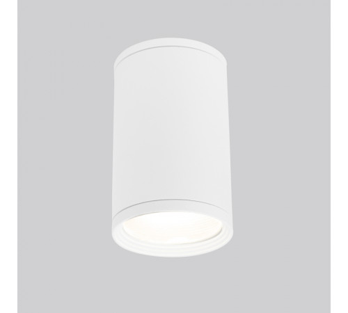 Уличный потолочный светильник Elektrostandard Light 4690389175893 Уличный потолочный светильник Elektrostandard Light 4690389175893