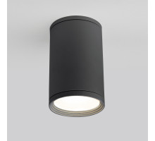 Уличный потолочный светильник Elektrostandard Light 4690389175909