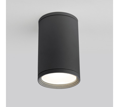 Уличный потолочный светильник Elektrostandard Light 4690389175909