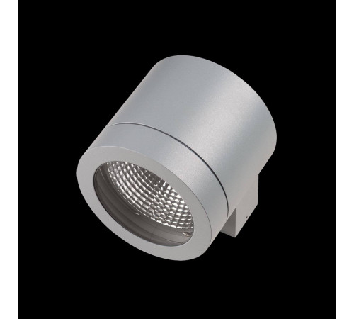 Уличный настенный светильник Lightstar Paro 350619 Уличный настенный светильник Lightstar Paro 350619