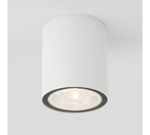 Уличный потолочный светильник Elektrostandard Light LED 4690389176579 Уличный потолочный светильник Elektrostandard Light LED 4690389176579