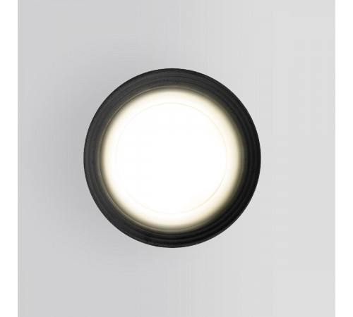 Уличный потолочный светильник Elektrostandard Light 4690389175909