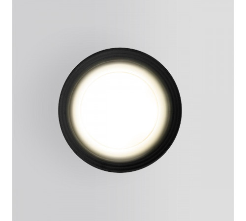 Уличный потолочный светильник Elektrostandard Light 4690389175916 Уличный потолочный светильник Elektrostandard Light 4690389175916