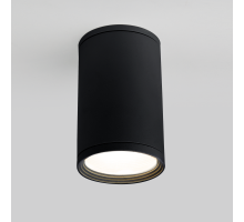Уличный потолочный светильник Elektrostandard Light 4690389175916