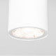 Уличный потолочный светильник Elektrostandard Light LED 4690389176555