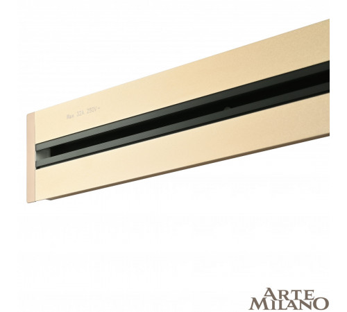 Встраиваемый шинопровод с выключателем Arte Milano Am-track-sockets 385201TBB/100 Gold Встраиваемый шинопровод с выключателем Arte Milano Am-track-sockets 385201TBB/100 Gold