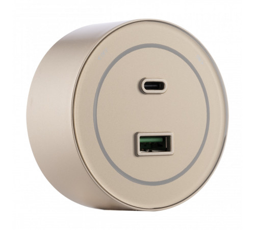 Трековая розетка Arte Milano Am-track-sockets-39 399732TS/USB-Type-C Gold