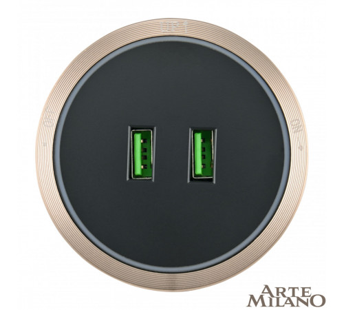 Трековая розетка Arte Milano Am-track-sockets 380066TS LED/USBx2 Gold