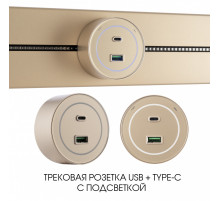 Трековая розетка Arte Milano Am-track-sockets-39 399732TS/USB-Type-C Gold