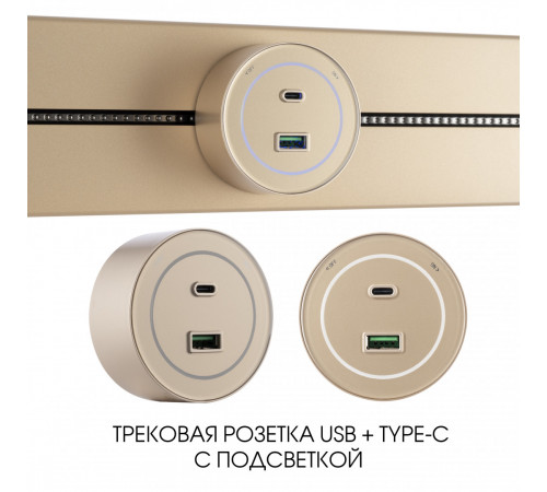 Трековая розетка Arte Milano Am-track-sockets-39 399732TS/USB-Type-C Gold