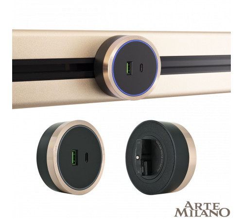 Трековая розетка Arte Milano Am-track-sockets 380066TS LED/USB-Type-C Gold Трековая розетка Arte Milano Am-track-sockets 380066TS LED/USB-Type-C Gold
