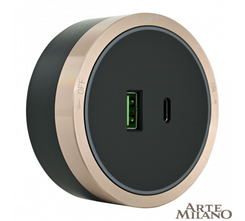 Трековая розетка Arte Milano Am-track-sockets 380066TS LED/USB-Type-C Gold Трековая розетка Arte Milano Am-track-sockets 380066TS LED/USB-Type-C Gold