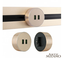 Трековая розетка Arte Milano Am-track-sockets 380011TS/USBx2 Gold