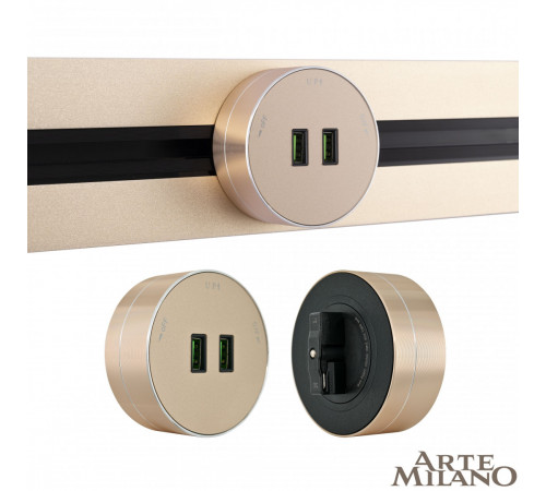 Трековая розетка Arte Milano Am-track-sockets 380011TS/USBx2 Gold Трековая розетка Arte Milano Am-track-sockets 380011TS/USBx2 Gold