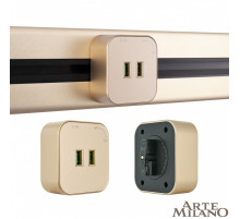 Трековая розетка Arte Milano Am-track-sockets 380022TS/USBx2 Gold