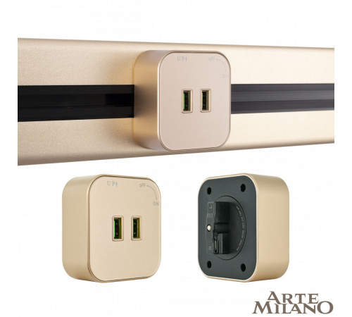 Трековая розетка Arte Milano Am-track-sockets 380022TS/USBx2 Gold Трековая розетка Arte Milano Am-track-sockets 380022TS/USBx2 Gold