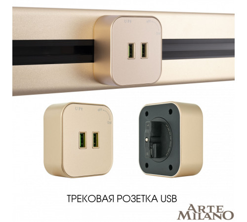 Трековая розетка Arte Milano Am-track-sockets 380022TS/USBx2 Gold Трековая розетка Arte Milano Am-track-sockets 380022TS/USBx2 Gold