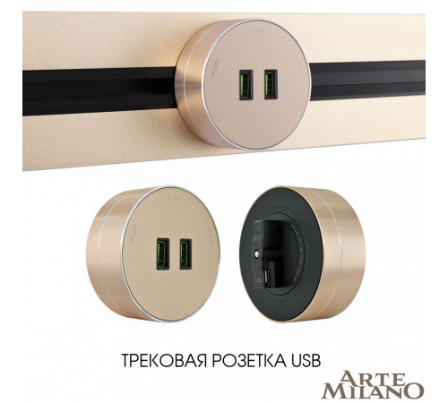 Трековая розетка Arte Milano Am-track-sockets 380011TS/USBx2 Gold Трековая розетка Arte Milano Am-track-sockets 380011TS/USBx2 Gold
