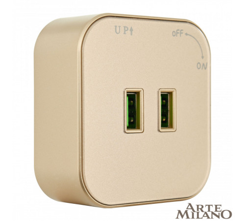 Трековая розетка Arte Milano Am-track-sockets 380022TS/USBx2 Gold Трековая розетка Arte Milano Am-track-sockets 380022TS/USBx2 Gold