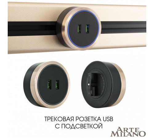 Трековая розетка Arte Milano Am-track-sockets 380066TS LED/USBx2 Gold