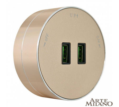 Трековая розетка Arte Milano Am-track-sockets 380011TS/USBx2 Gold Трековая розетка Arte Milano Am-track-sockets 380011TS/USBx2 Gold