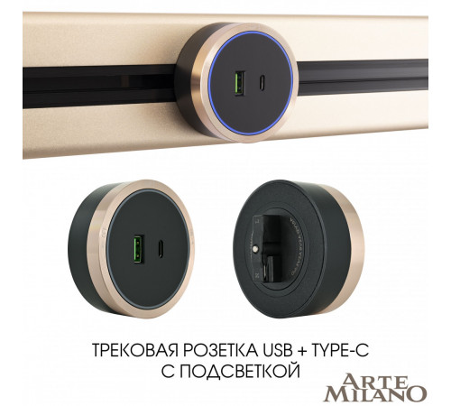 Трековая розетка Arte Milano Am-track-sockets 380066TS LED/USB-Type-C Gold Трековая розетка Arte Milano Am-track-sockets 380066TS LED/USB-Type-C Gold