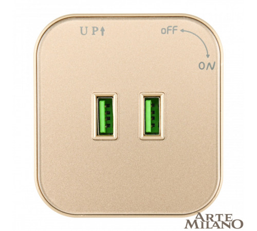 Трековая розетка Arte Milano Am-track-sockets 380022TS/USBx2 Gold Трековая розетка Arte Milano Am-track-sockets 380022TS/USBx2 Gold