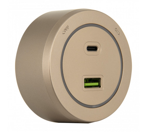 Трековая розетка Arte Milano Am-track-sockets-39 399731TS/USB-Type-C Gold