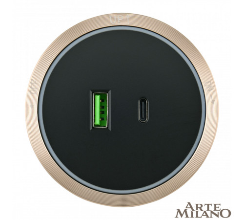 Трековая розетка Arte Milano Am-track-sockets 380066TS LED/USB-Type-C Gold Трековая розетка Arte Milano Am-track-sockets 380066TS LED/USB-Type-C Gold