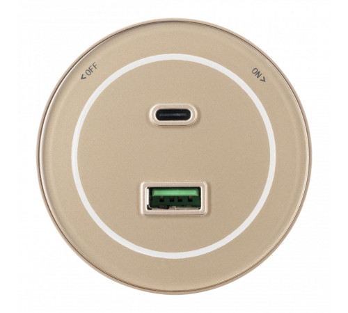Трековая розетка Arte Milano Am-track-sockets-39 399732TS/USB-Type-C Gold