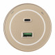 Трековая розетка Arte Milano Am-track-sockets-39 399732TS/USB-Type-C Gold