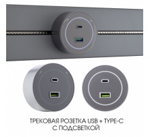 Трековая розетка Arte Milano Am-track-sockets-39 399732TS/USB-Type-C Grey