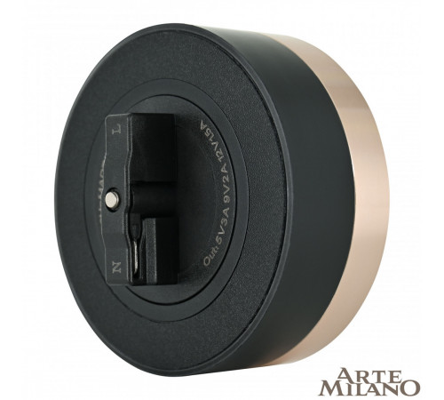 Трековая розетка Arte Milano Am-track-sockets 380066TS LED/USB-Type-C Gold Трековая розетка Arte Milano Am-track-sockets 380066TS LED/USB-Type-C Gold