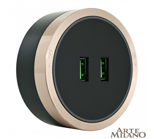 Трековая розетка Arte Milano Am-track-sockets 380066TS LED/USBx2 Gold