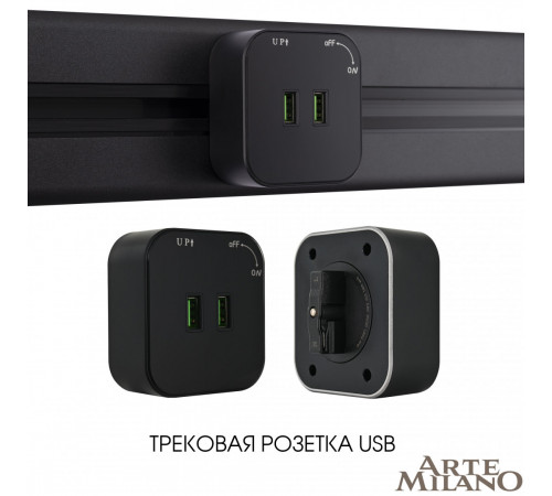 Трековая розетка Arte Milano Am-track-sockets 380022TS/USBx2 Black Трековая розетка Arte Milano Am-track-sockets 380022TS/USBx2 Black
