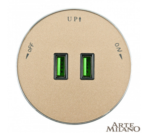 Трековая розетка Arte Milano Am-track-sockets 380011TS/USBx2 Gold Трековая розетка Arte Milano Am-track-sockets 380011TS/USBx2 Gold